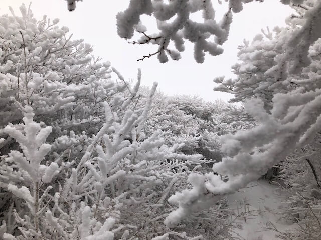 着物専門店　和の國