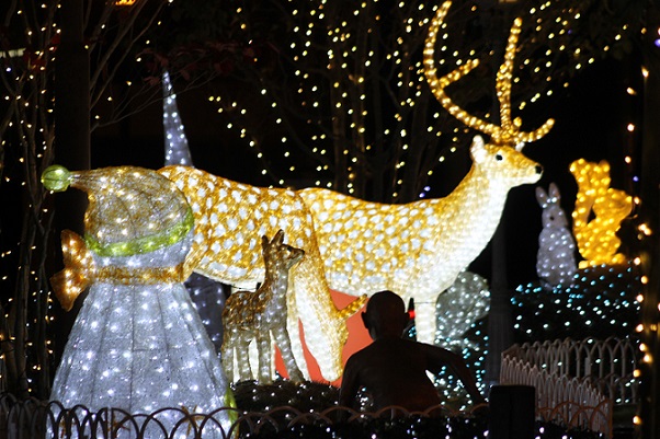 熊本市　わのくに　福田病院　クリスマスイルミネーション