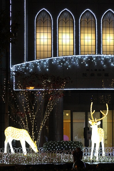 熊本市　わのくに　福田病院　クリスマスイルミネーション