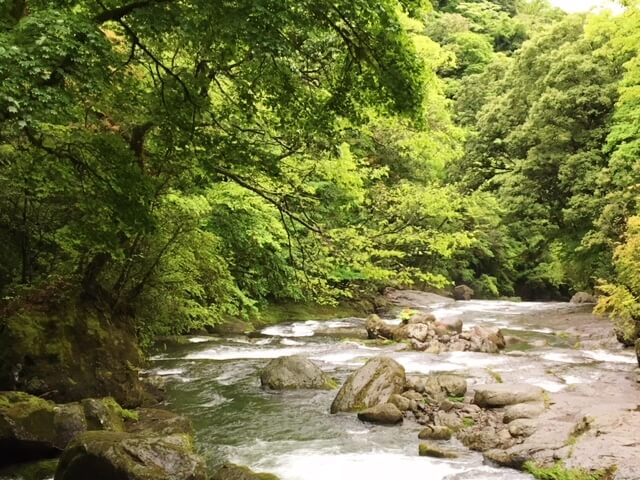 菊池渓谷　着物専門店　和の國