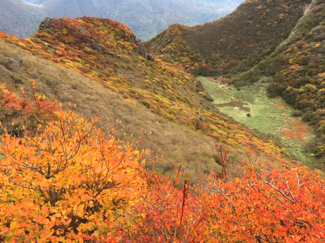 九重三俣山　登山　紅葉　熊本市中央区　着物専門店　わのくに