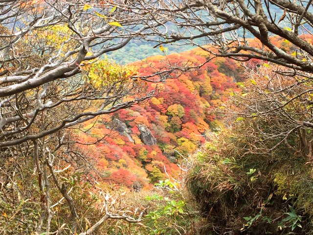 九重三俣山　登山　紅葉　熊本市中央区　着物専門店　わのくに