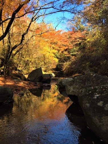 マゼノ渓谷　紅葉　登山　熊本市中央区　着物専門店　わのくに