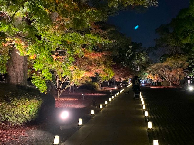 熊本城　和の國　熊本市中央区