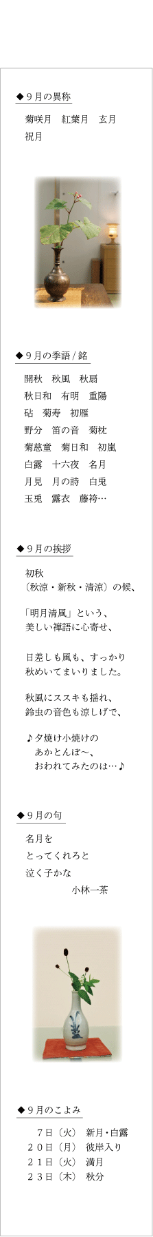 会社概要 本店 上通り店 創業104年 きものサロン和の國 熊本ホテルキャッスル横